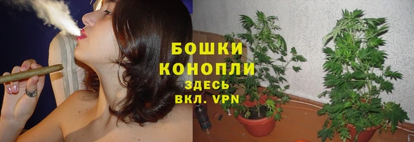 марки lsd Гусев