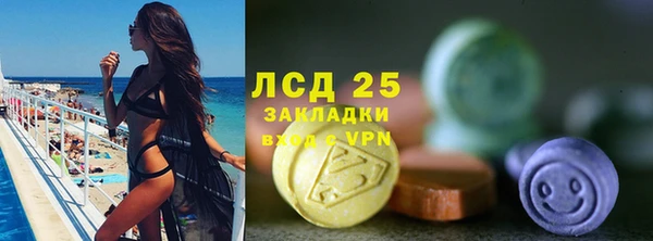 ПСИЛОЦИБИНОВЫЕ ГРИБЫ Гусиноозёрск