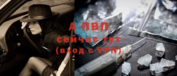 ПСИЛОЦИБИНОВЫЕ ГРИБЫ Гусиноозёрск