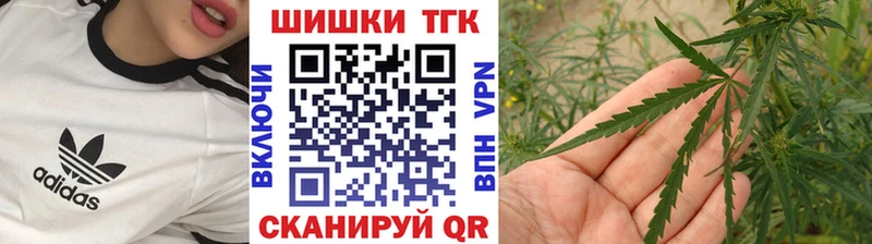 Шишки марихуана план  Купить где  Хасавюрт 